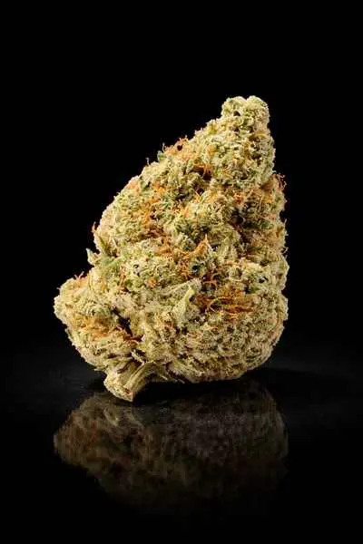 Fleur CBD premium en Europe