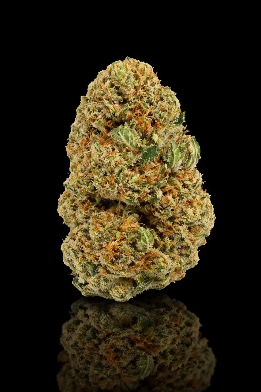 Amnesia THCA premium en Europe